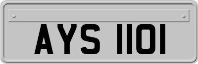 AYS1101