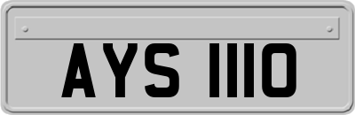 AYS1110