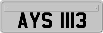 AYS1113