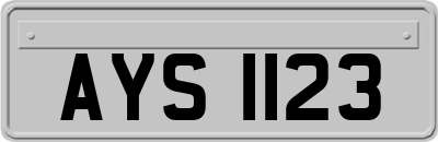 AYS1123