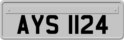 AYS1124