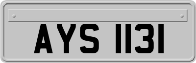AYS1131