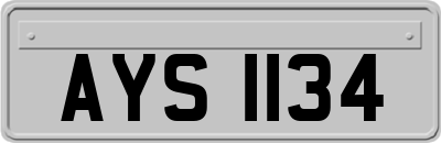 AYS1134