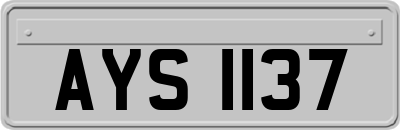 AYS1137