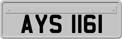 AYS1161