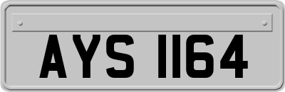AYS1164