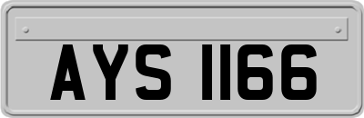 AYS1166
