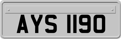 AYS1190