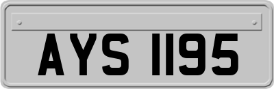 AYS1195