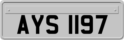 AYS1197
