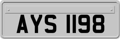 AYS1198