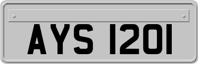 AYS1201