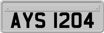 AYS1204