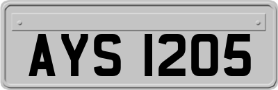 AYS1205