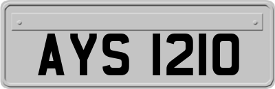 AYS1210