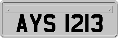 AYS1213