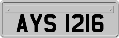AYS1216