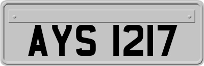 AYS1217
