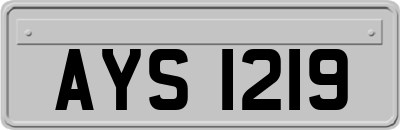AYS1219