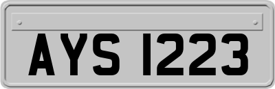 AYS1223