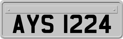 AYS1224