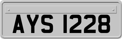 AYS1228