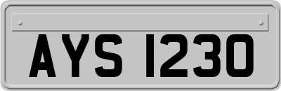 AYS1230