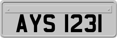 AYS1231