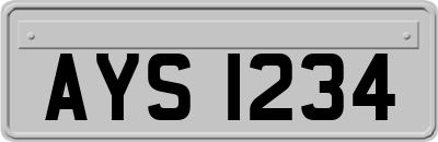 AYS1234