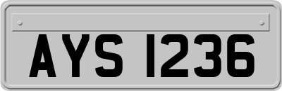 AYS1236