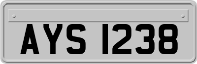 AYS1238