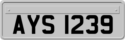 AYS1239