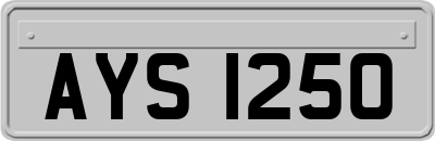 AYS1250