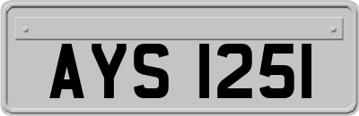 AYS1251