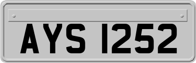 AYS1252