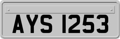 AYS1253