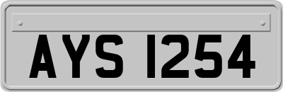 AYS1254