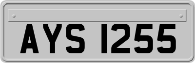 AYS1255