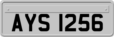 AYS1256