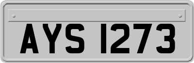 AYS1273