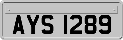 AYS1289