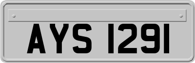 AYS1291
