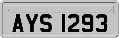 AYS1293