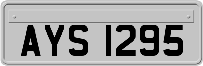 AYS1295