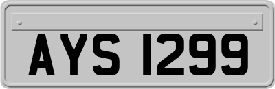 AYS1299