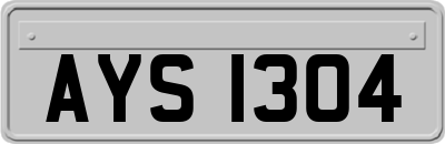 AYS1304
