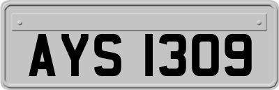 AYS1309
