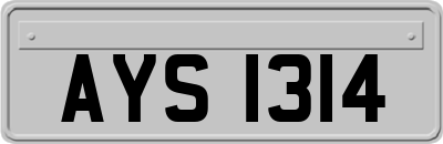 AYS1314