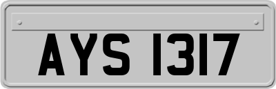 AYS1317