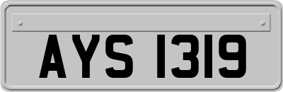 AYS1319